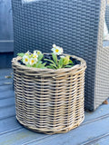 Pre-Order Round Planter - 3 Sizes Available