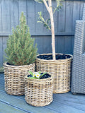 Pre-Order Round Planter - 3 Sizes Available