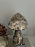 Aged Glass Mushroom