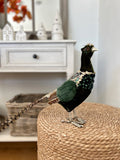 Pre Order Christmas Green Pheasant