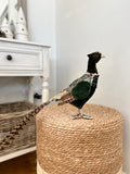 Pre Order Christmas Green Pheasant