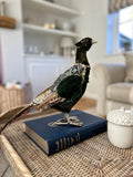 Pre Order Christmas Green Pheasant