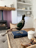 Pre Order Christmas Green Pheasant