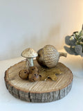 Pre Order Acorn Decoration