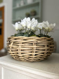 Orca Basket Planter