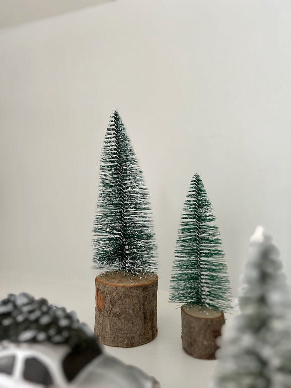 Green Fir Trees