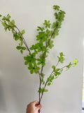 Spring Leaf Branch WAS £9.99