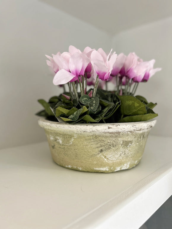 Whitewash Dish Planter