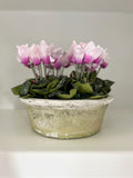 Whitewash Dish Planter