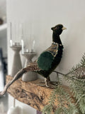 Pre Order Christmas Green Pheasant