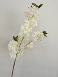 White Cherry Blossom Stem