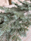 Green Noble Pine Garland