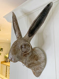 Hare Wall Art