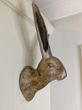 Hare Wall Art