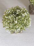 Mini Potted Dianthus WAS £9.99