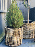 Round Planter - 3 Sizes Available